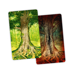 ASMODEE - Skoventyr (Inglés)