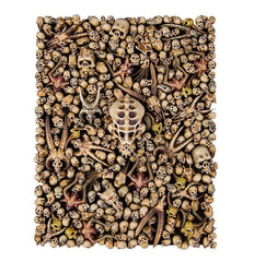 CITADEL - Skulls - Gamesmart