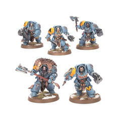 WH40K - Combat Patrol Space Wolves