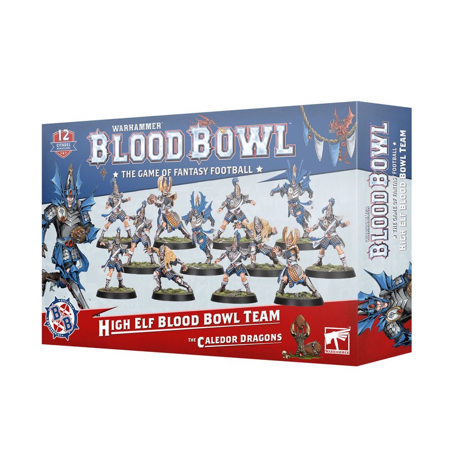 Blood Bowl - High Elf Blool Bowl Team