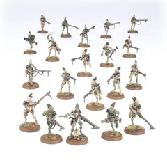 WH40K - Tau Empire Army Set Kroot Hunting (Inglés)