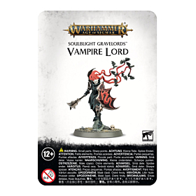WHAOS - Soulblight Gravelords Vampire Lord (Blister)